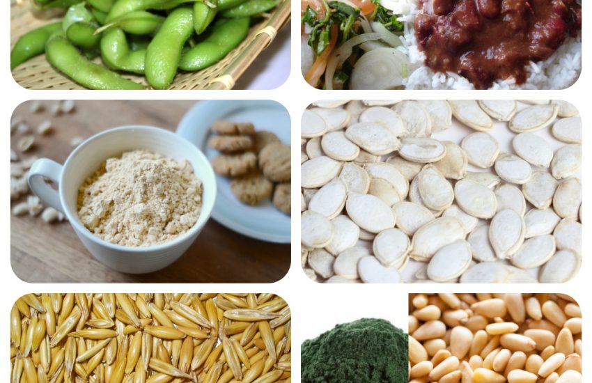 6 best vegan protein with complete essential amino acids