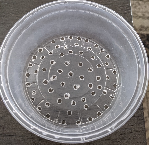 plastic container with many holes