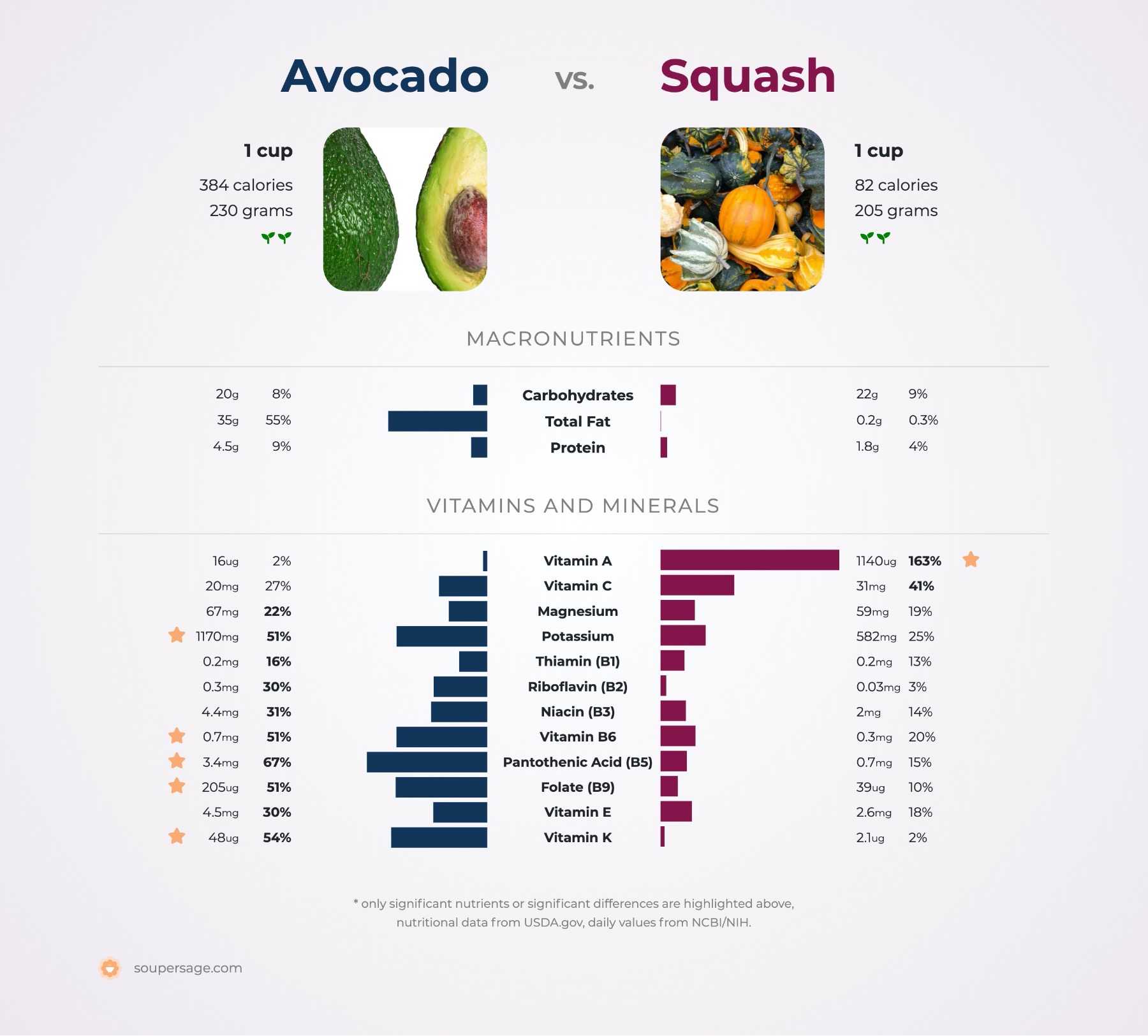 nutrition comparison of avocado vs. squash