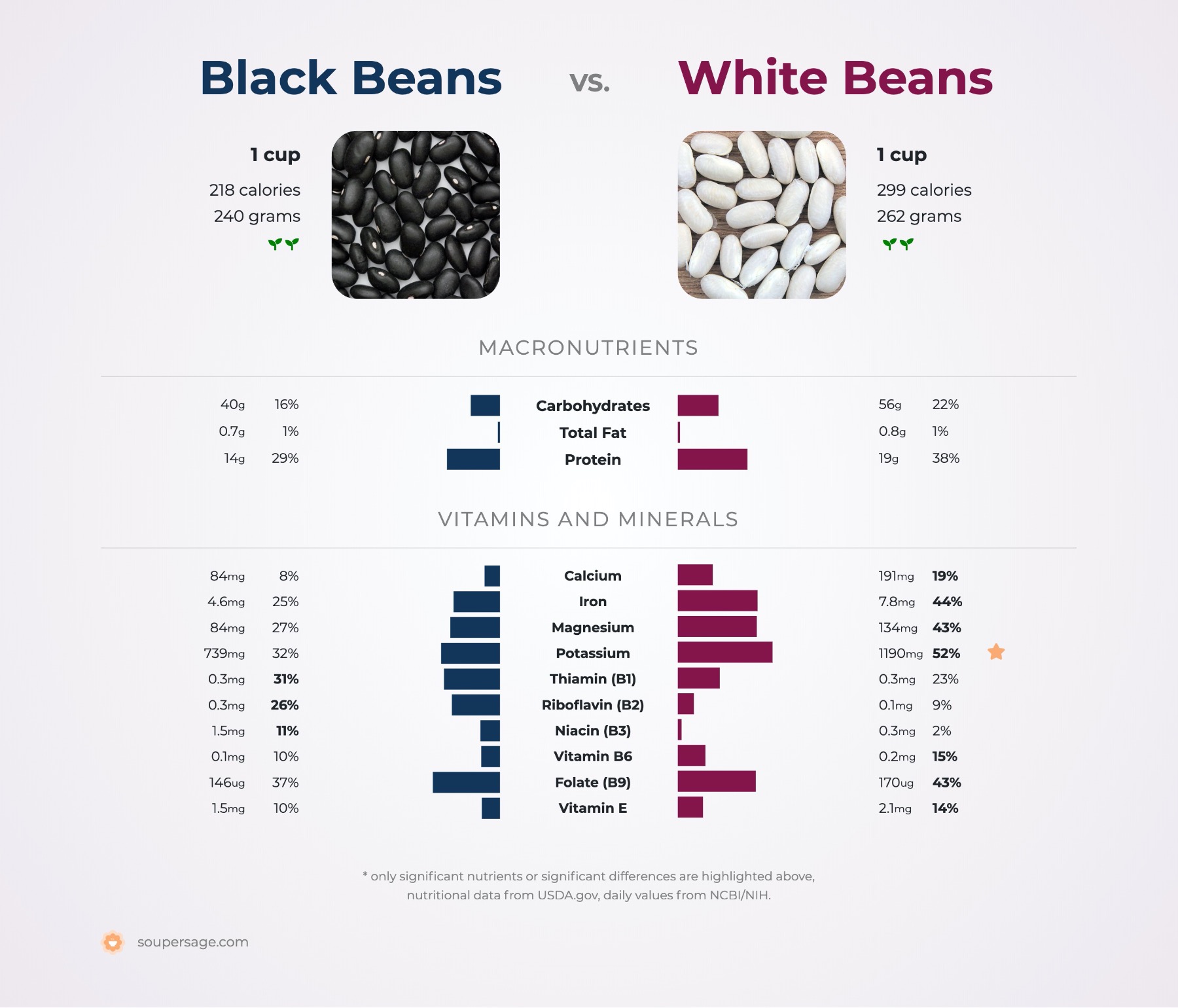 nutrition comparison of black beans vs. white beans