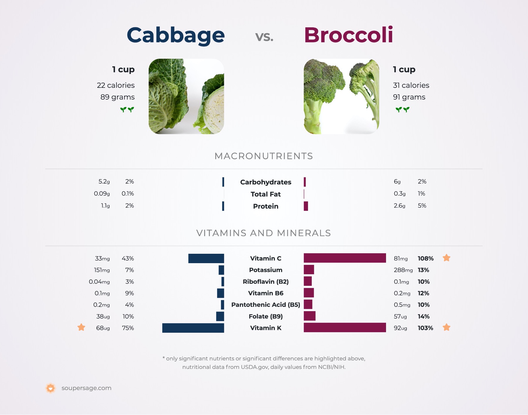 Cabbage Nutrition Facts and Health Benefits