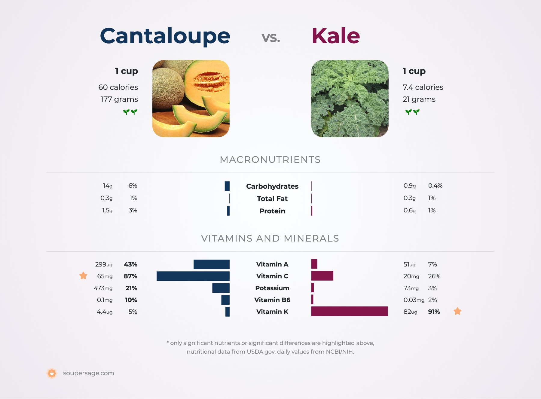 nutrition comparison of cantaloupe vs. kale