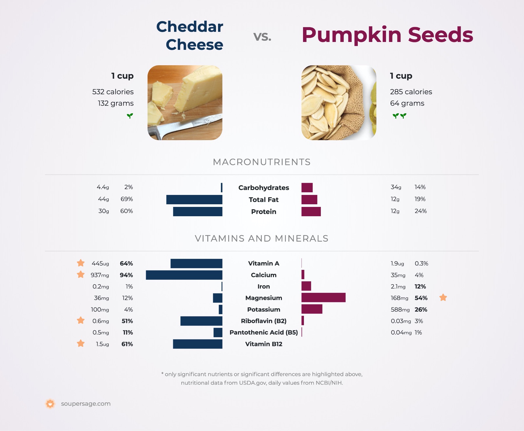 nutrition comparison of cheddar cheese vs. pumpkin seeds