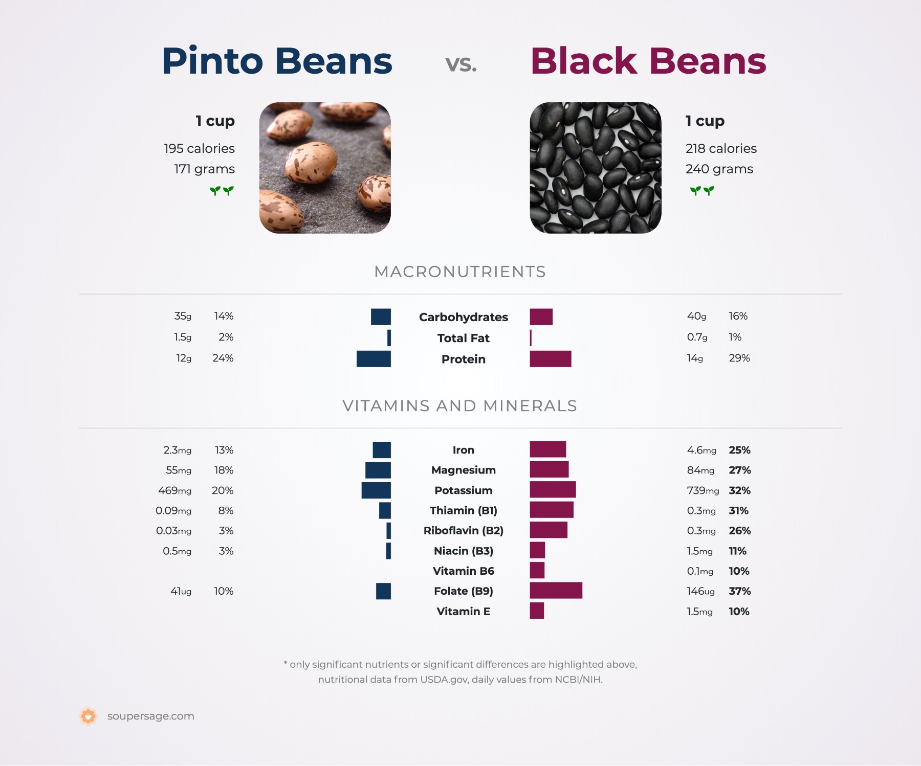 nutrition comparison of black beans vs. pinto beans