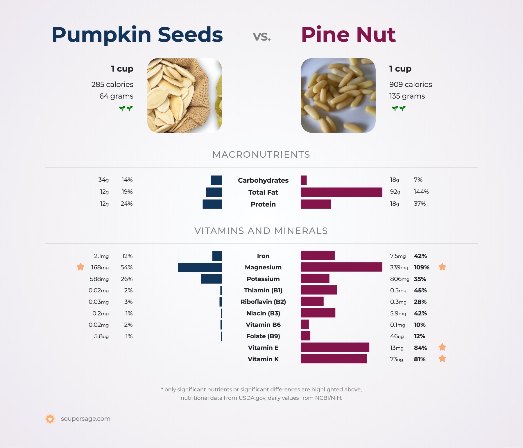 nutrition comparison of pine nut vs. pumpkin seeds