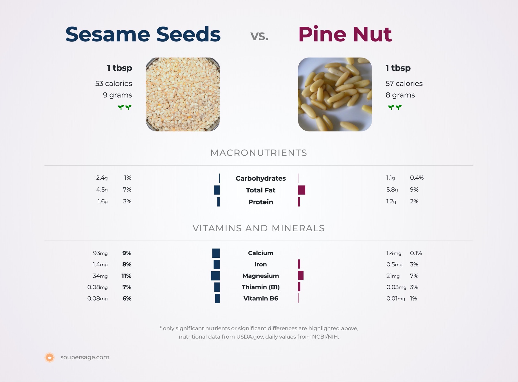 nutrition comparison of pine nut vs. sesame seeds