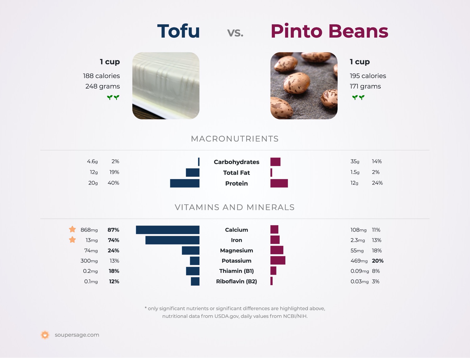 nutrition comparison of pinto beans vs. tofu