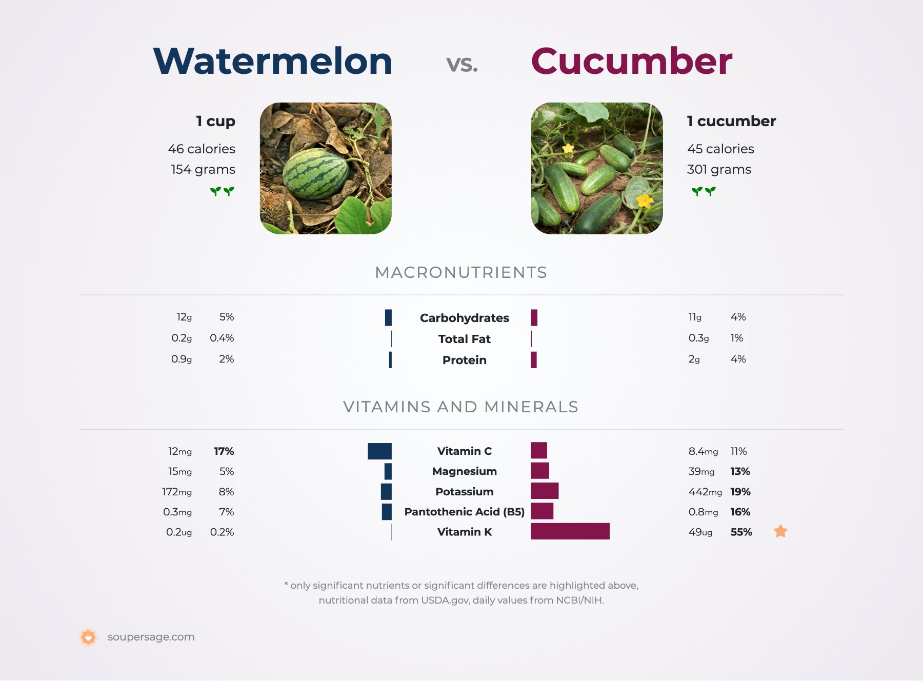 nutrition comparison of watermelon vs. cucumber