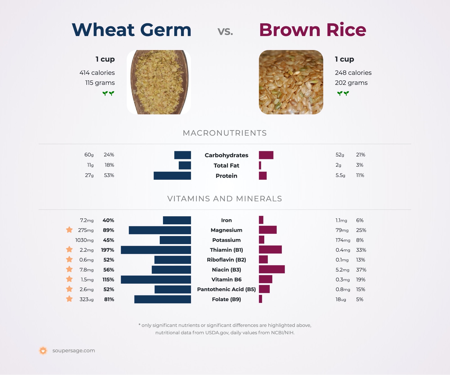 nutrition comparison of brown rice vs. wheat germ