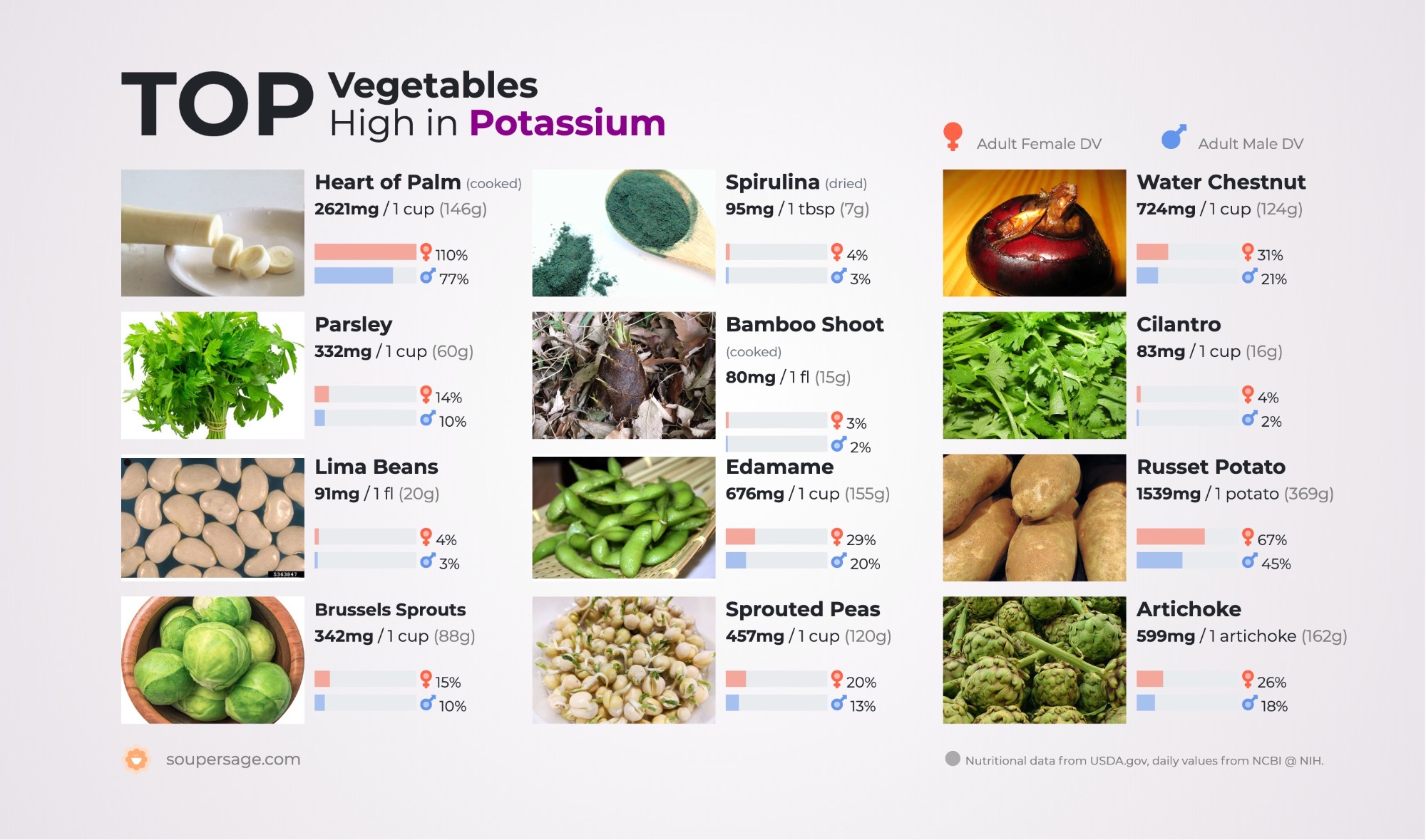 image of Top Vegetables High in Potassium
