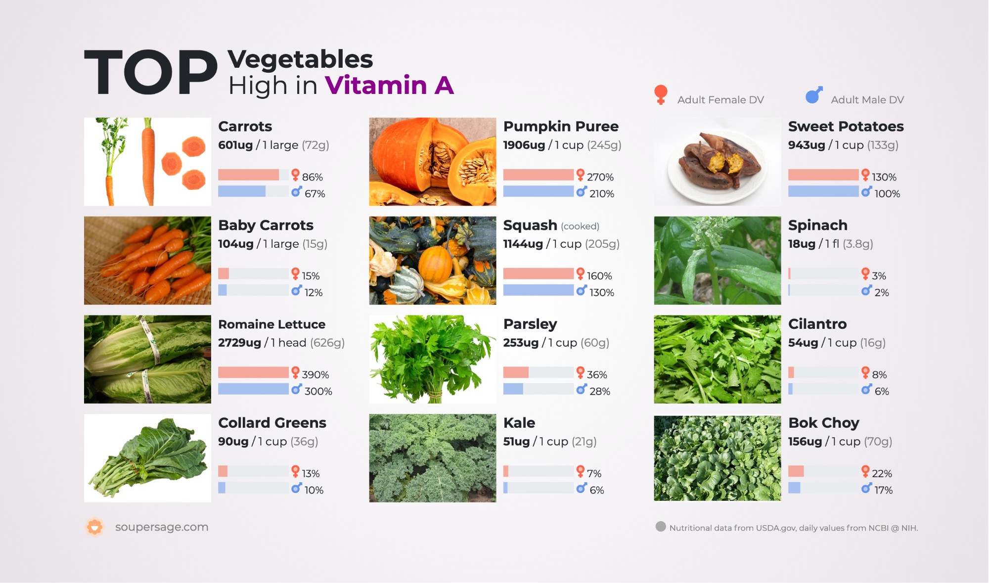 image of Top Vegetables High in Vitamin A