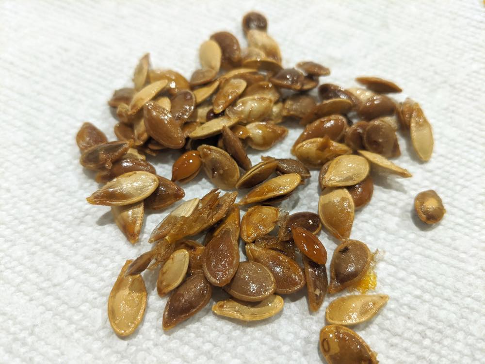 image of roasted pumpkin seeds